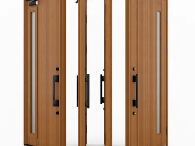 YKK AP Venato D30 N05T Japanese Entrance Door 3D model