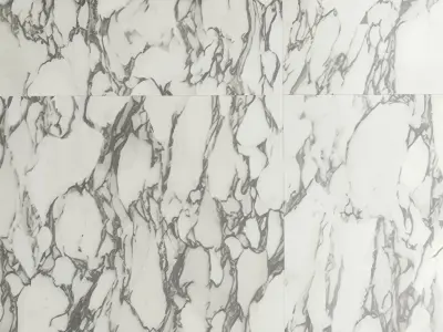 Marble 23 Texture