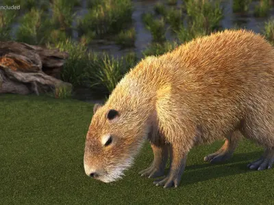 Capybara Fur Rigged 