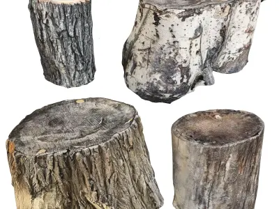 Set of stump models 3D model