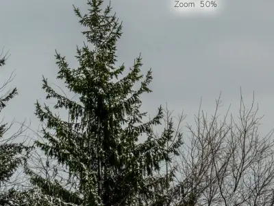 Panorama with snow-covered trees and a field v2 - 30k 3D model