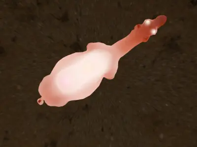 Indirect lighting for camel 3D model