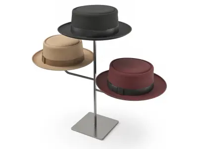  Hats Stand Display Collection 