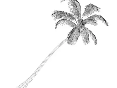Sloping Palm Tree 3D model