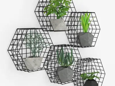 Plants Wall 3D model