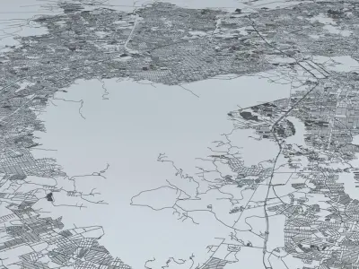 Rio De Janeiro Road Network and Streets 3D model
