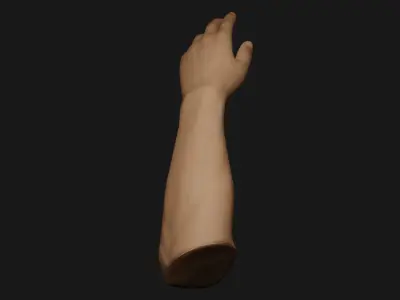 Male Left Hand Rigged Low-poly 3D model