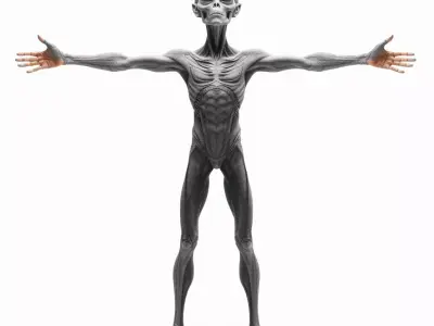 Alien Creature model pack Low-poly 3D model