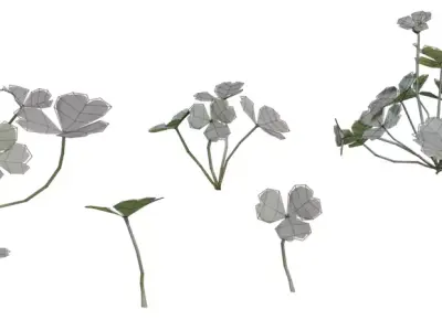 Pink Wood Sorrel Flower Pack Low-poly 3D model