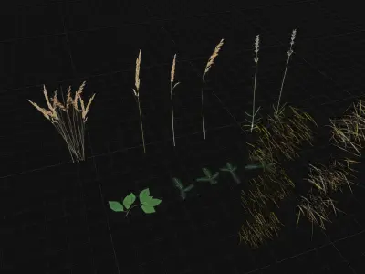 House in the forest Low-poly 3D model