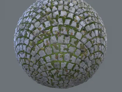 Pavement with leafs moss and twigs  Texture