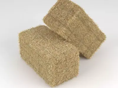 Hay Bale 3D model