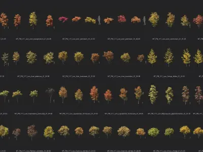 Maxtree Plant Models Vol 17 Low - Mesh 3D model