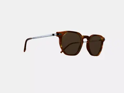 Rustin Sunglasses in Root Beer with Brushed Ink 3D model