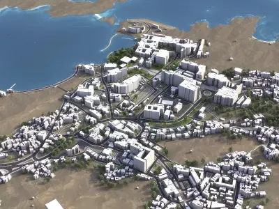 Muscat Low-poly 3D model