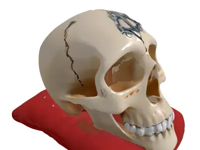Ornate Stylized Skull with Velvet Pillow Low-poly 3D model