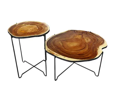 Wood Slice Coffee Tables 3D model
