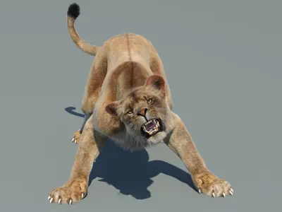  Lion Family 3D Models Rigged and Animated Bundle Lion Lioness and Cub 