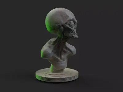Grey Alien  Bust  3D print model