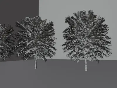 Trees four 3D model