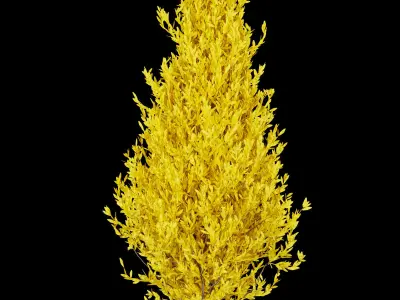 Collection plant vol 218 Free 3D model