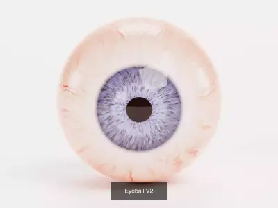 4 Eyeball Collection - Realistic Anatomy 3D Model Pack