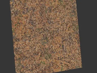Ground autumn scan 3D model
