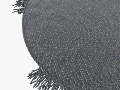 custom made round  modern carpet 3D model