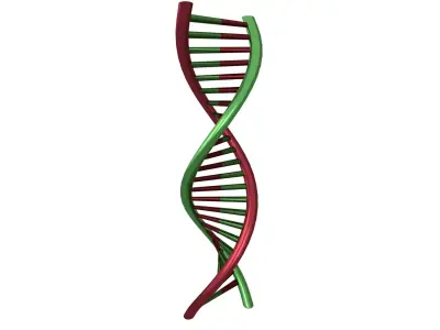 DNA Molecule v1 007 Low-poly 3D model