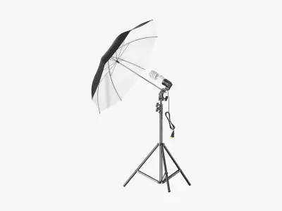 Umbrella Lighting Single Light Bulb 3D model