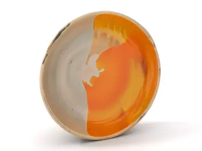 Sunny Ceramic Plate model pack Low-poly 3D model