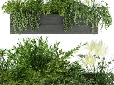 Collection plant vol 01 balcony  3D Model Pack