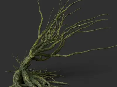 Low poly Mossy Jungle Dead Tree Low-poly 3D model