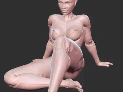 Sci-Fi Babe with Mecha Enhancements NSFW STL 3D print model