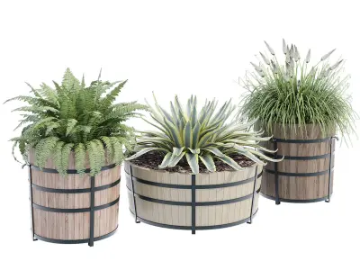 Half Barrel Planters 3D model