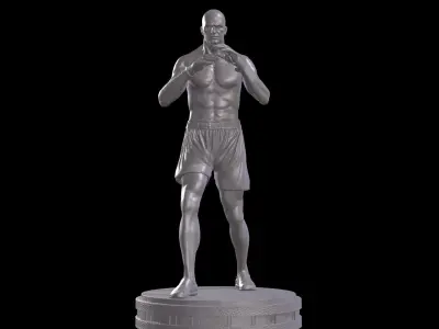 KickBoxer for 3D Print 3D print model