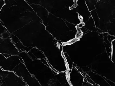 Scandinavian Mod 3D model