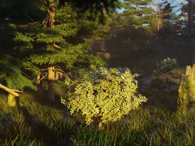 Summer forest 3D model