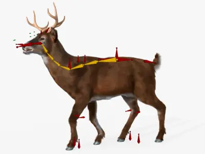  Virginia Deer Fur Rigged For Blender 