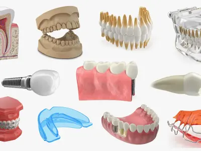  Dental Collection 4 