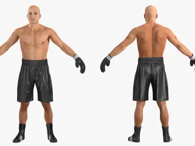  Male Boxer Figure Rigged 