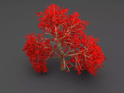 Maple red Tree 3D model