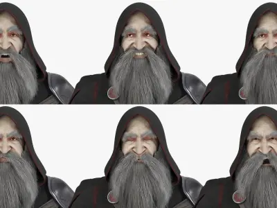  Character Dark Wizard Rigged 