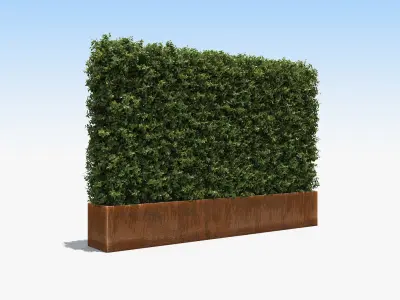  Architectural Boxwood Hedges and Topiary Pack 