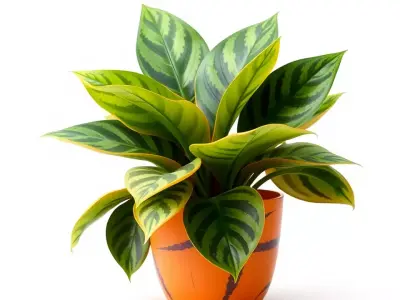 Vibrant Plant Pot model pack Low-poly 3D model
