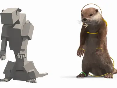  Aquatic Otter Cleans Face Fur Animated Rigged 