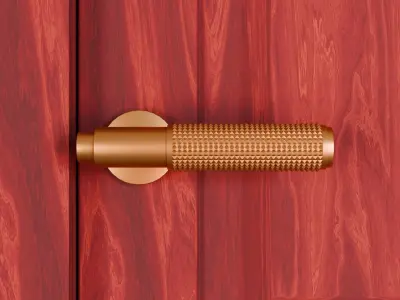 Mahogany wood door Low-poly 3D model