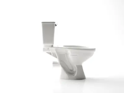 american toilet 01 3D model
