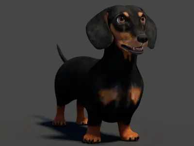  Rigged Black Dachshund Dog 3D Model 