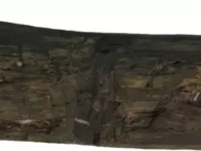 Fallen Forest Log Low-poly 3D model